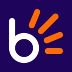 bidorbuy android application logo